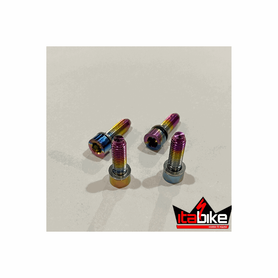Parafuso em Titânio Para Fixar Freio Pinça 160MM Rainbow 