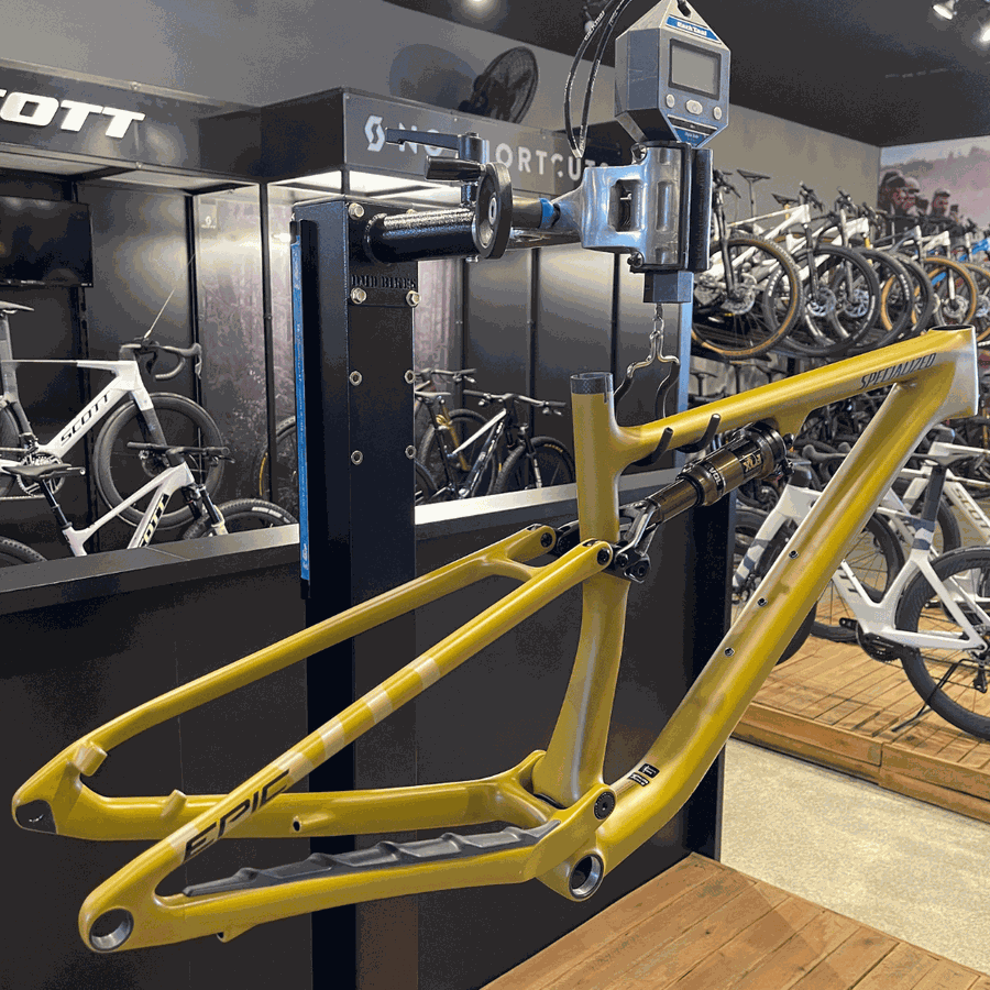 Quadro SPECIALIZED Epic Evo com Shock FOX Kashima