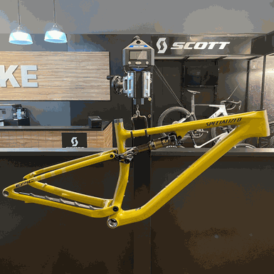 Quadro SPECIALIZED Epic Evo com Shock FOX Kashima