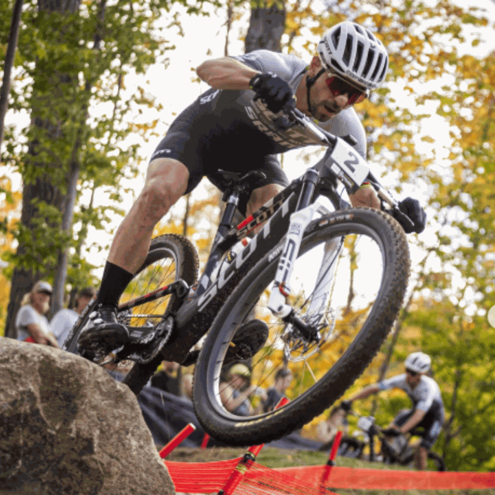 Canote Rockshox Reverb AXS 30.9mm