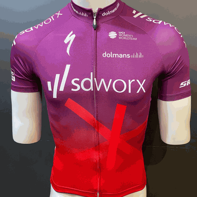 Camisa Original Specialized Sdworx Masculina