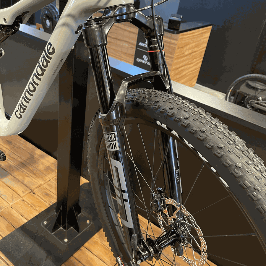 Bicicleta CANNONDALE Scalpel 3 cinza