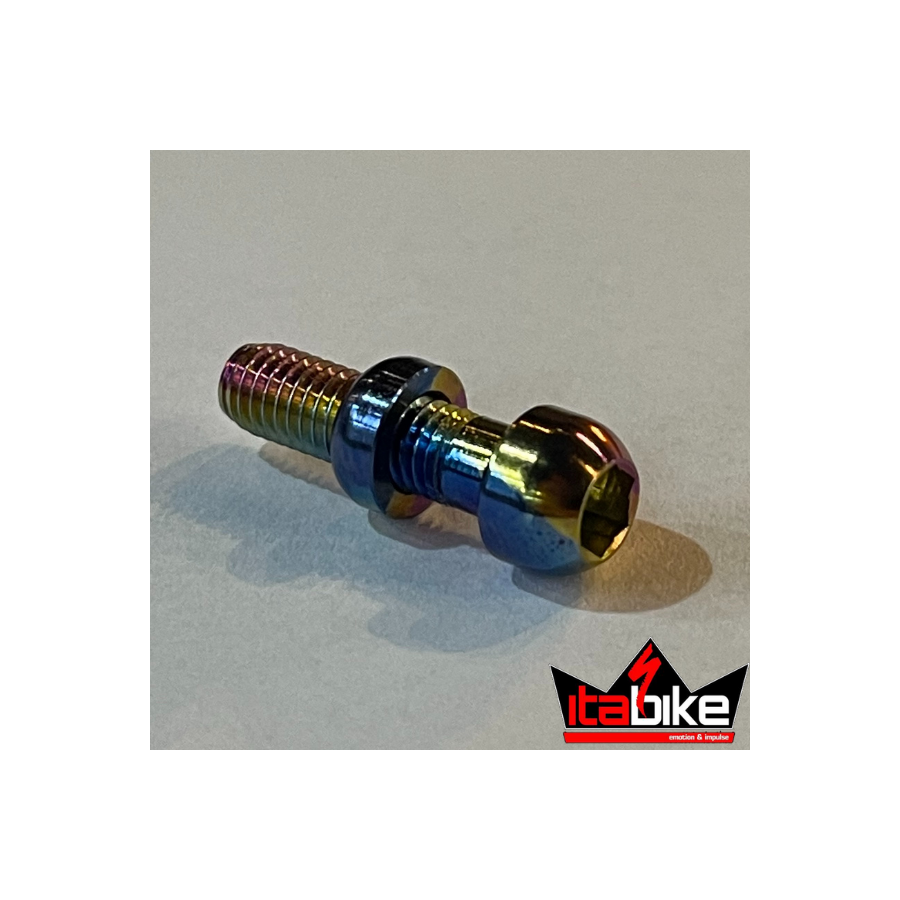 Parafuso em Titânio Para Abraçadeiras Specialized Cabeça e Encosto Redondo Rainbow
