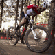 Pneu MTB MAXXIS ASPEN ST Tubeless Preto - 13