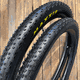 Par de Pneus MTB MAXXIS ASPEN Tubeless - 2