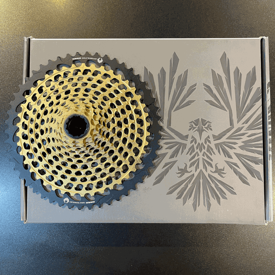 Cassete Sram Original XX1 Eagle XG-1299 10-50 12V Gold 