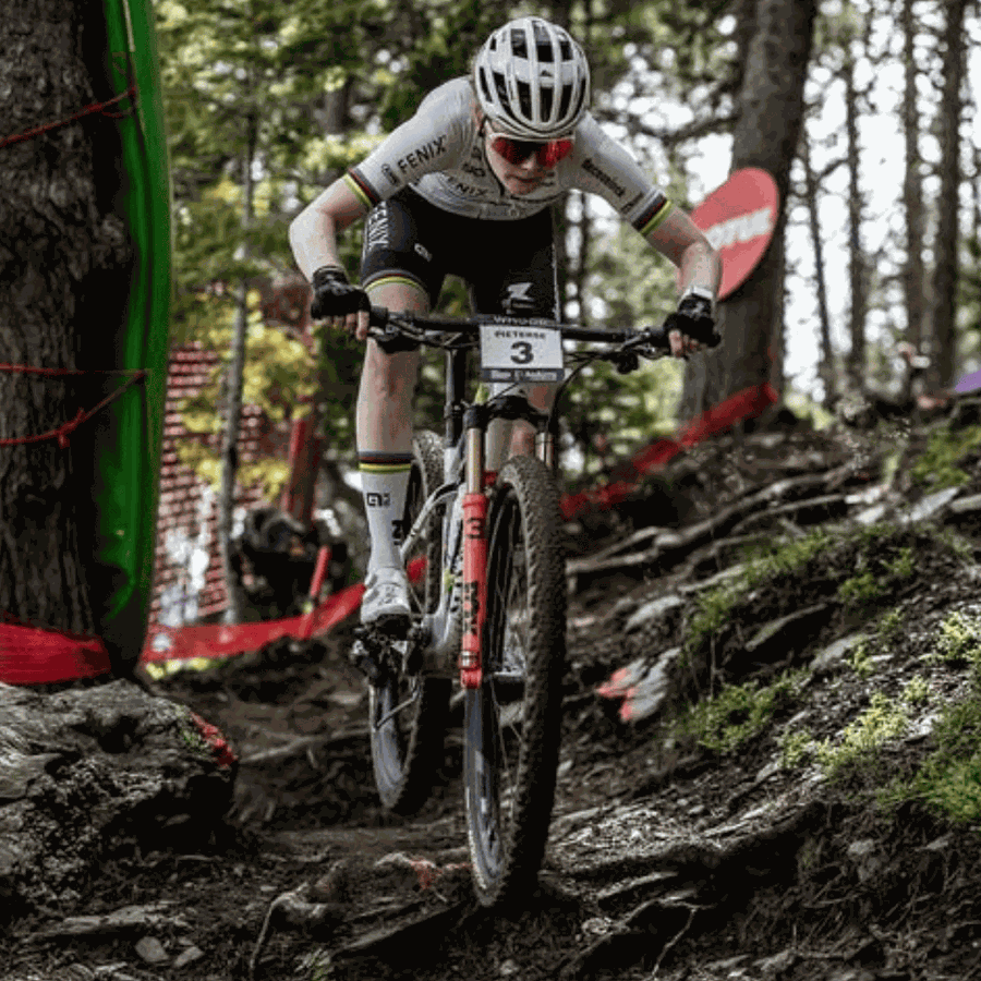 Garfo de Suspensão Fox Kashima Original 32 Gold 100mm