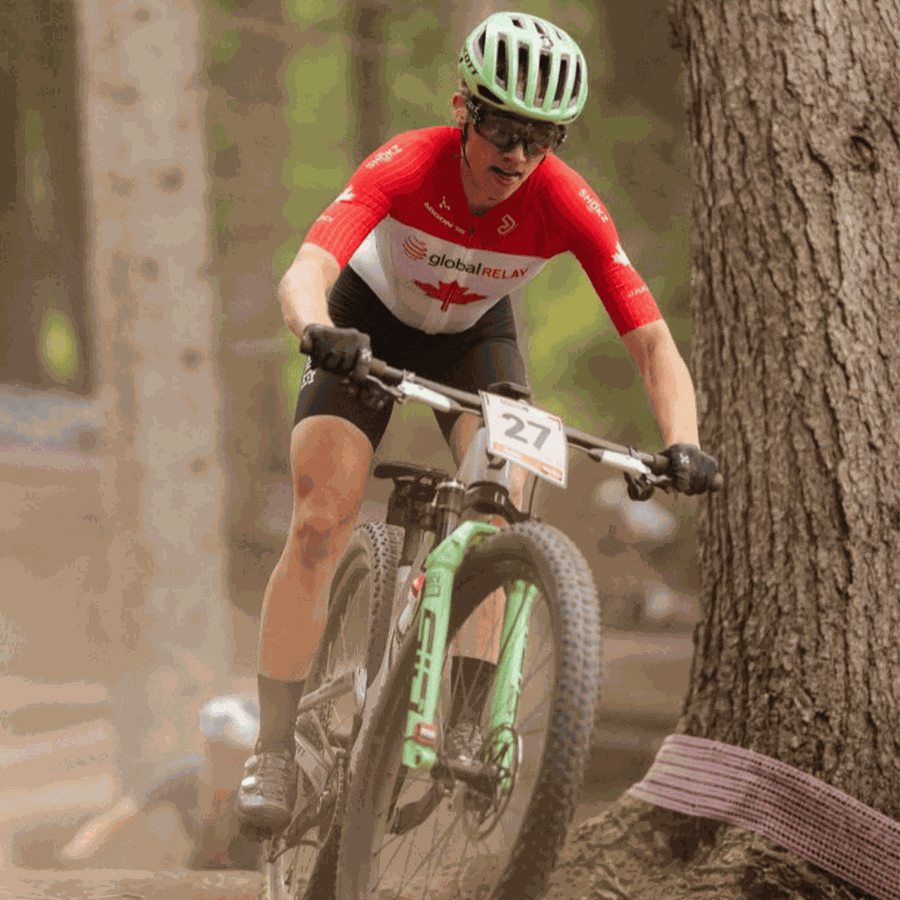 Bicicleta SCOTT Spark RC World Cup hush purple